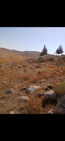 أرض للبيع في بلعما - المفرق - 3