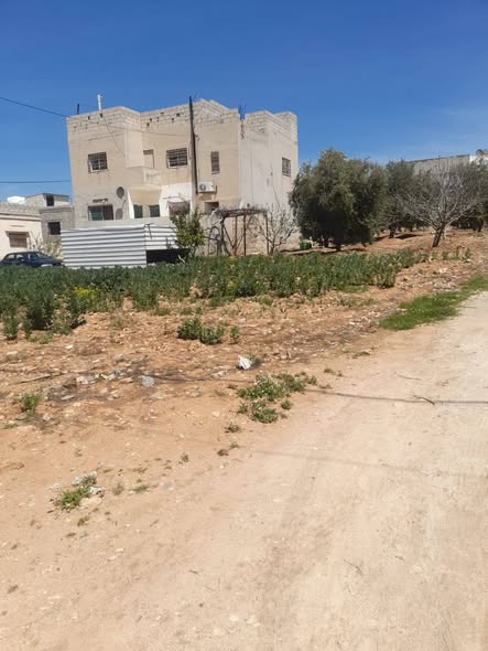 بيت طابقين للبيع في بلعما - دونم مع أشجار مثمرة - 2