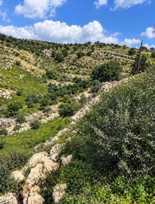 فرصة استثمارية مميزة في بدر الجديدة