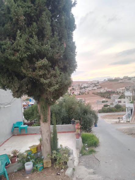 فرصة استثمارية: أرض مع بيت في بلعما - 4