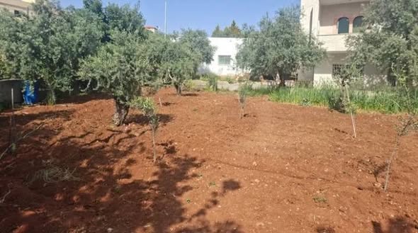 بيت مستقل فاخر في الصبيحي - 5