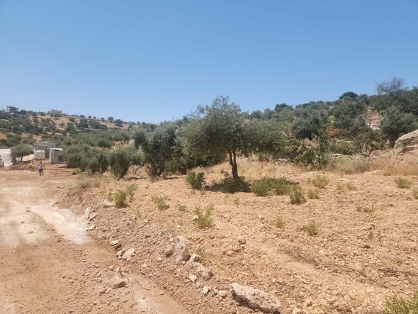 أرض للبيع في بدر الجديدة - فرصة استثمارية