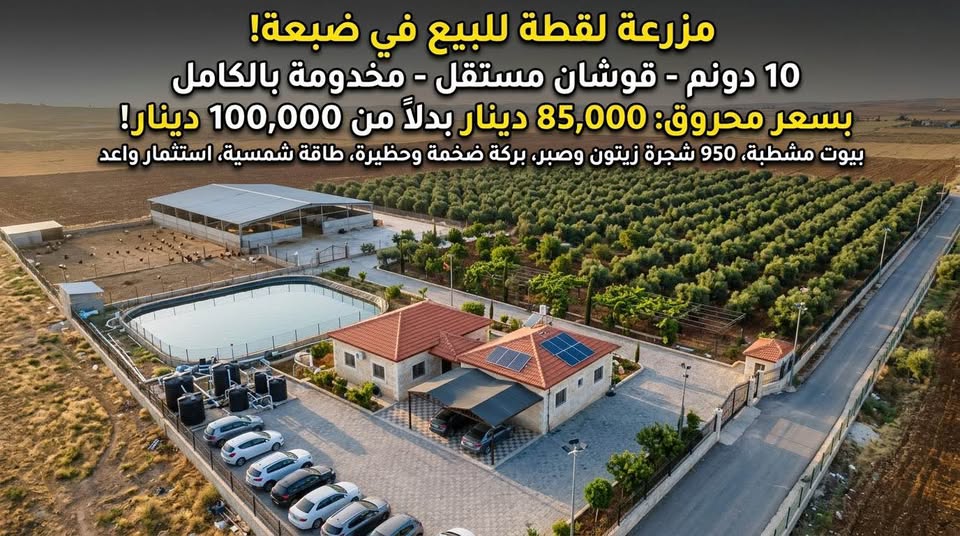 فرصة استثمارية نادرة: مزرعة متكاملة للبيع في ضبعة
