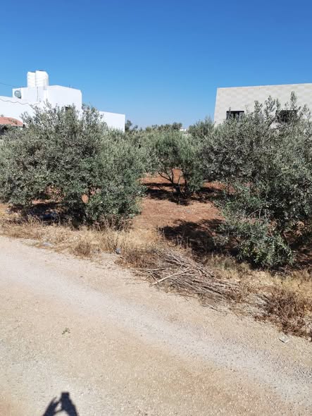 فرصة استثمارية مميزة لأرض في المغير