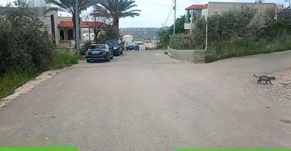 فرصة استثمارية نادرة: أرض مميزة في منطقة الفلل - 2