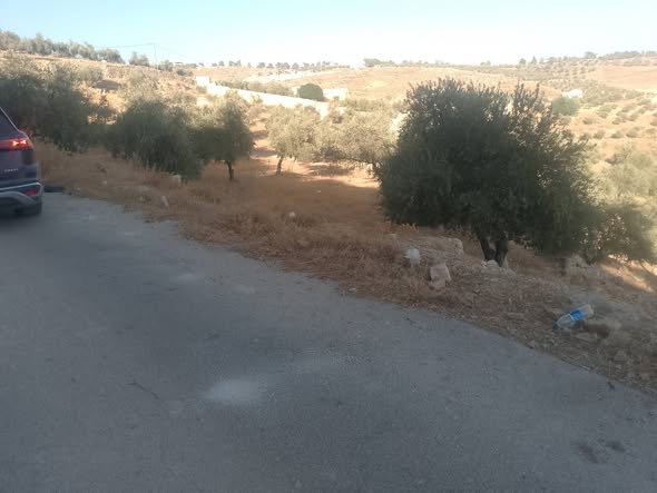 فرصة ذهبية للاستثمار في جرش - 4