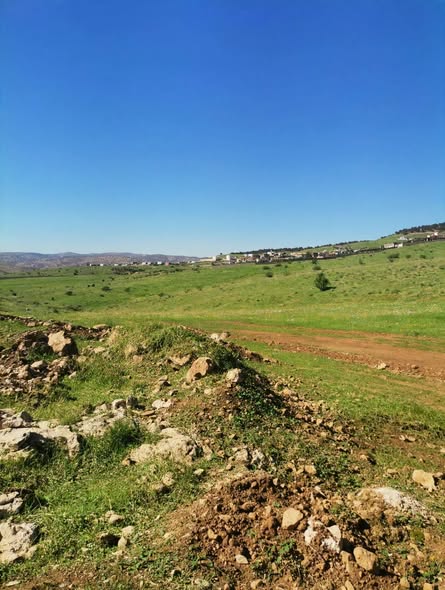 فرصة استثمارية ذهبية في عنيبة - جرش - 4