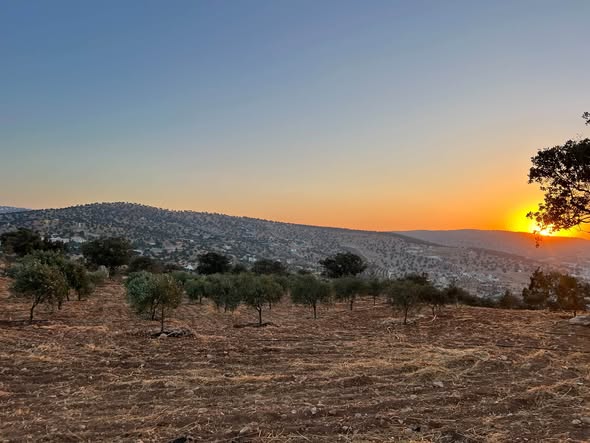 أرض حرجية بإطلالة شمالية غربية في العالوك - فرصة نادرة - 3