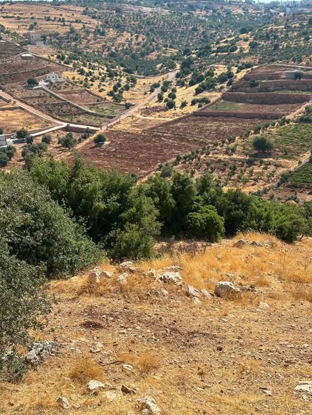 قطعة أرض للبيع في عجلون - صخرة - موقع مميز - 3