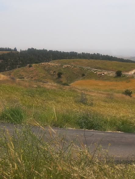 أرض سكنية فاخرة في خطلة - 4