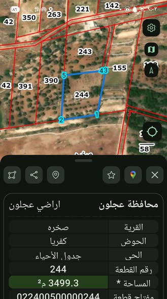 فرصة البيع المستعجل: مزرعة استثمارية في صخرة