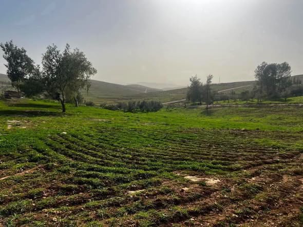 أرض استثمارية فاخرة في عين والمعمرية - 2