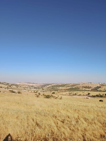 أرض استثمارية للبيع في عجلون - رأس جبل - 4