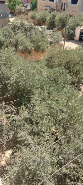 منزل مستقل واجهة حجر رويشد على شارعين في عين الباشا - 4