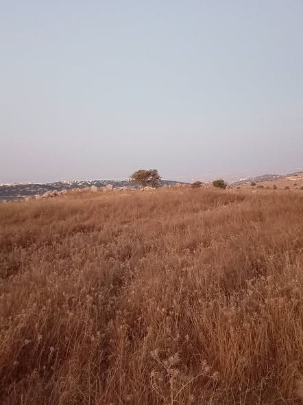 قطعة أرض استثمارية فاخرة في عجلون - 3