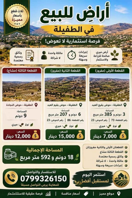 فرصة استثمارية نادرة للبيع قطع أراضٍ في الطفيلة