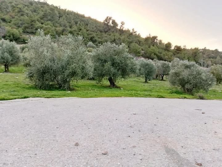 مزرعة فاخرة للبيع في جرش