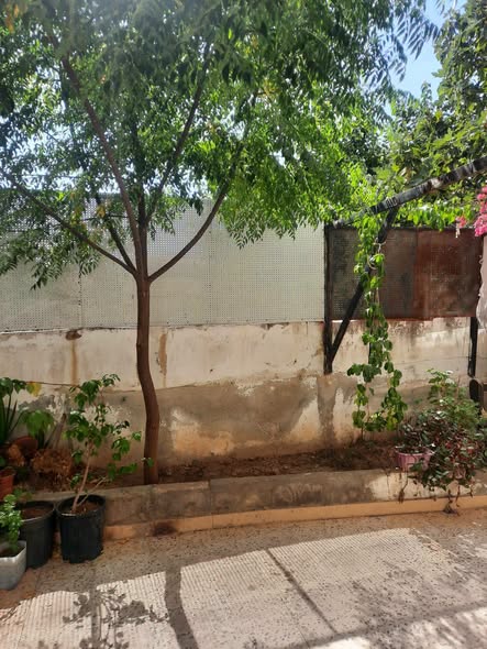بيت لقطة للبيع في السلط بسعر مميز! - 3