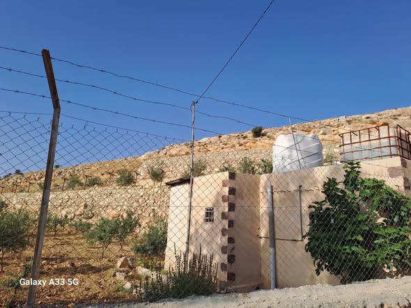 مزرعة مع بيت 3.5 دونم في المدور - فرصة نادرة - 4