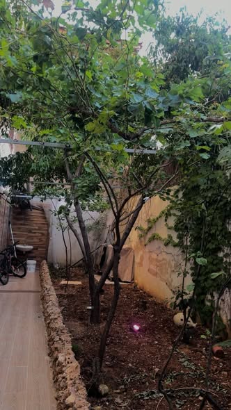 شقة طابقية فاخرة مع حديقة خاصة في طبربور - 5