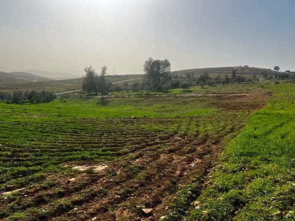 أرض للبيع بالتقسيط في بلعما