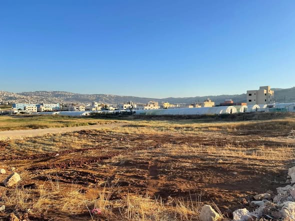 أرض سكنية للبيع في الحنو - عين الباشا بسعر لقطة