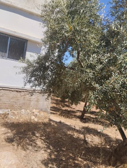 منزل مستقل للبيع في جرش - منطقة الشواهد - 3
