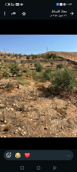 أرض مشجرة ومسيجة للبيع في غرب غريسا - 2
