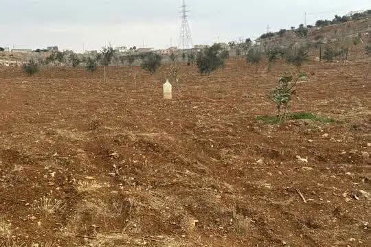 أرض زراعية وسكنية فاخرة للبيع في جرش - مساحة 3.5 دونم - 2