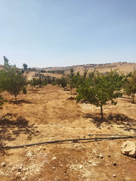 مزرعة نموذجية للبيع - 4
