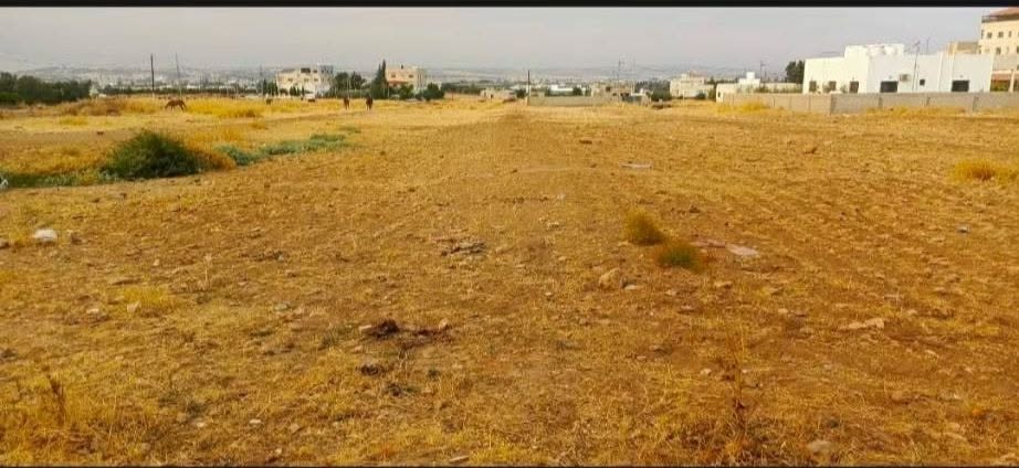 أرض للبيع في مادبا المأمونية الغربية بسعر مميز