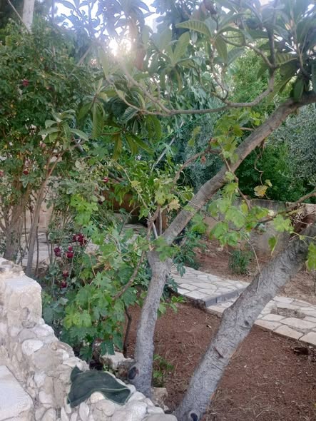 شقة فاخرة للبيع في السلط - 2
