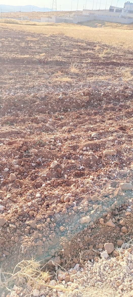 أرض حمراء في رحاب منيفة – فرصة استثمارية رائعة