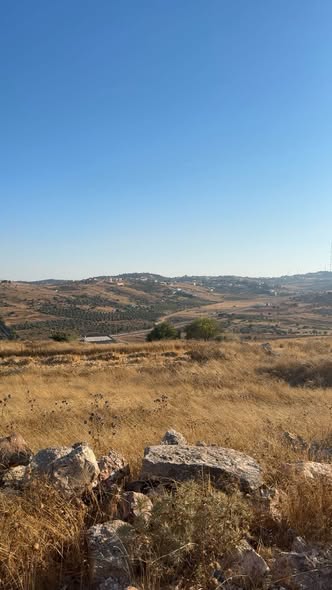فرصة استثمارية فاخرة في عجلون