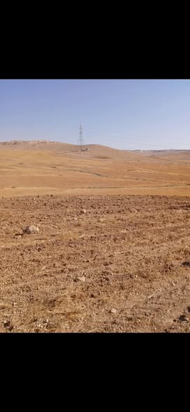 أرض زراعية استثمارية للبيع في بلعما، المفرق - 2