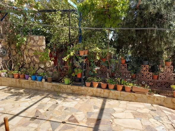 بيت ريفي مع مزرعة ودونم أرض بسعر مغري جداً - 3