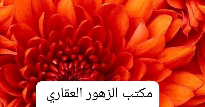شقة 140م للبيع في إربد – فرصة مميزة