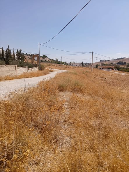 فرصة استثمارية: أرض للبيع على شارعين في بلعما - 2
