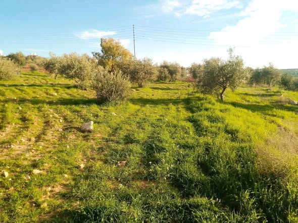 أرض سكنية زراعية بإطلالة على الضفة الغربية - 3
