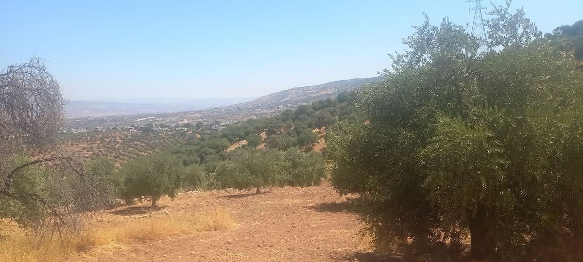 أرض سكنية مميزة للبيع في السلط الديرة