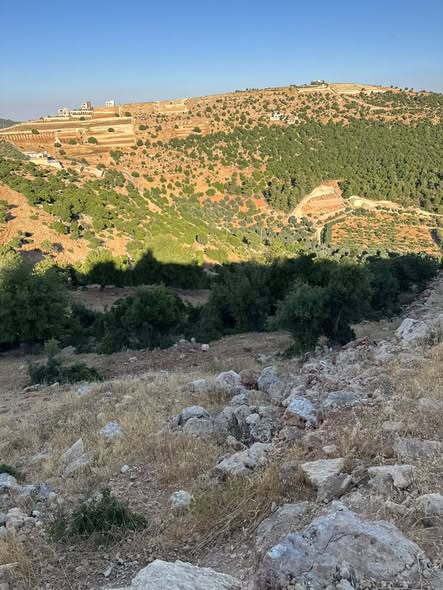 أرض سكنية فاخرة في عجلون - 4