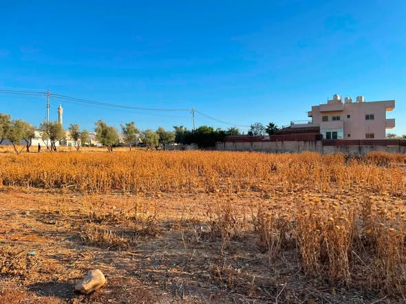قطع أراضي سكنية بأسعار لا تقبل المنافسة في أبو نصير - 4