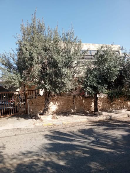 شقة فاخرة للبيع في طبربور - 5