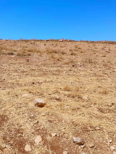 أرض سكنية فاخرة للبيع في إربد – الصريح - 2