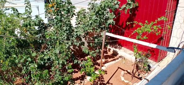 بيت مستقل للبيع في الزرقاء - جبل رحمة - 5