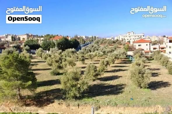شقة فاخرة 145م في الجبيهة بأجمل المواقع - 3