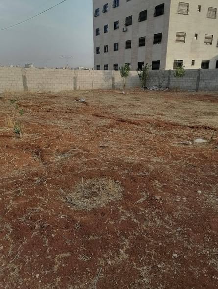 قطعة أرض استثمارية فاخرة للبيع في جاوا - 4