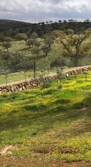 أرض فاخرة للبيع في العالوك - 4