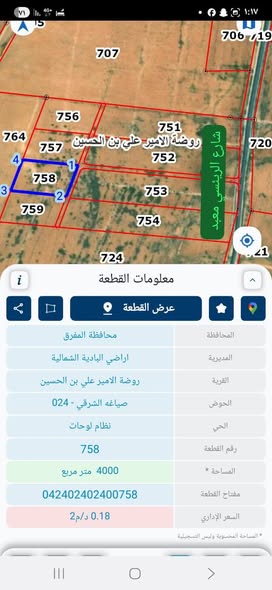 أرض استثمارية للبيع في روضة الأمير - المفرق