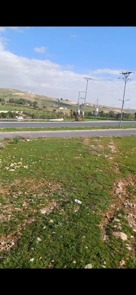 أرض استثمارية فاخرة في بلعما بمساحة واسعة - 3
